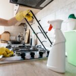 kitchen appliance cleaning