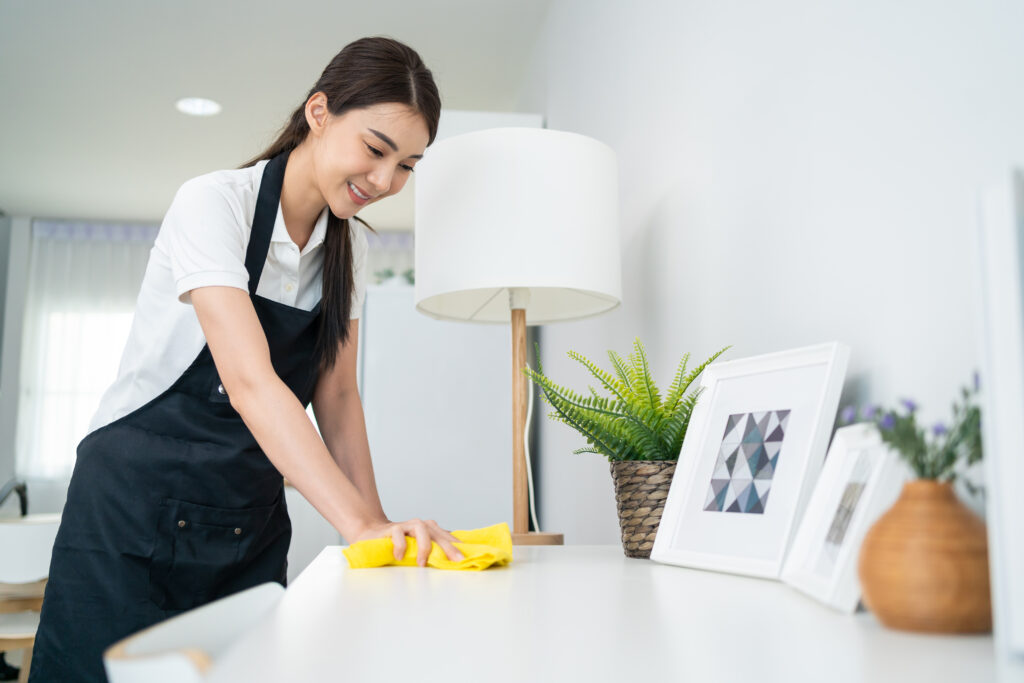 woman doing regular domestic cleaning work