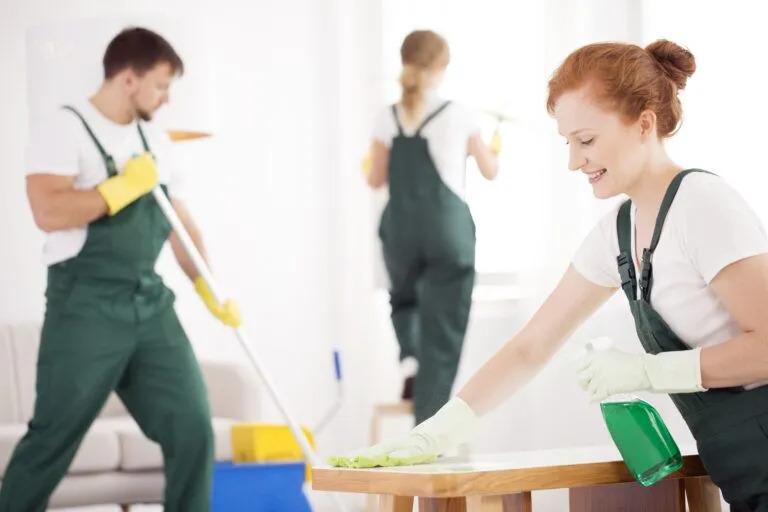 Tips for efficient and effective regular cleaning image