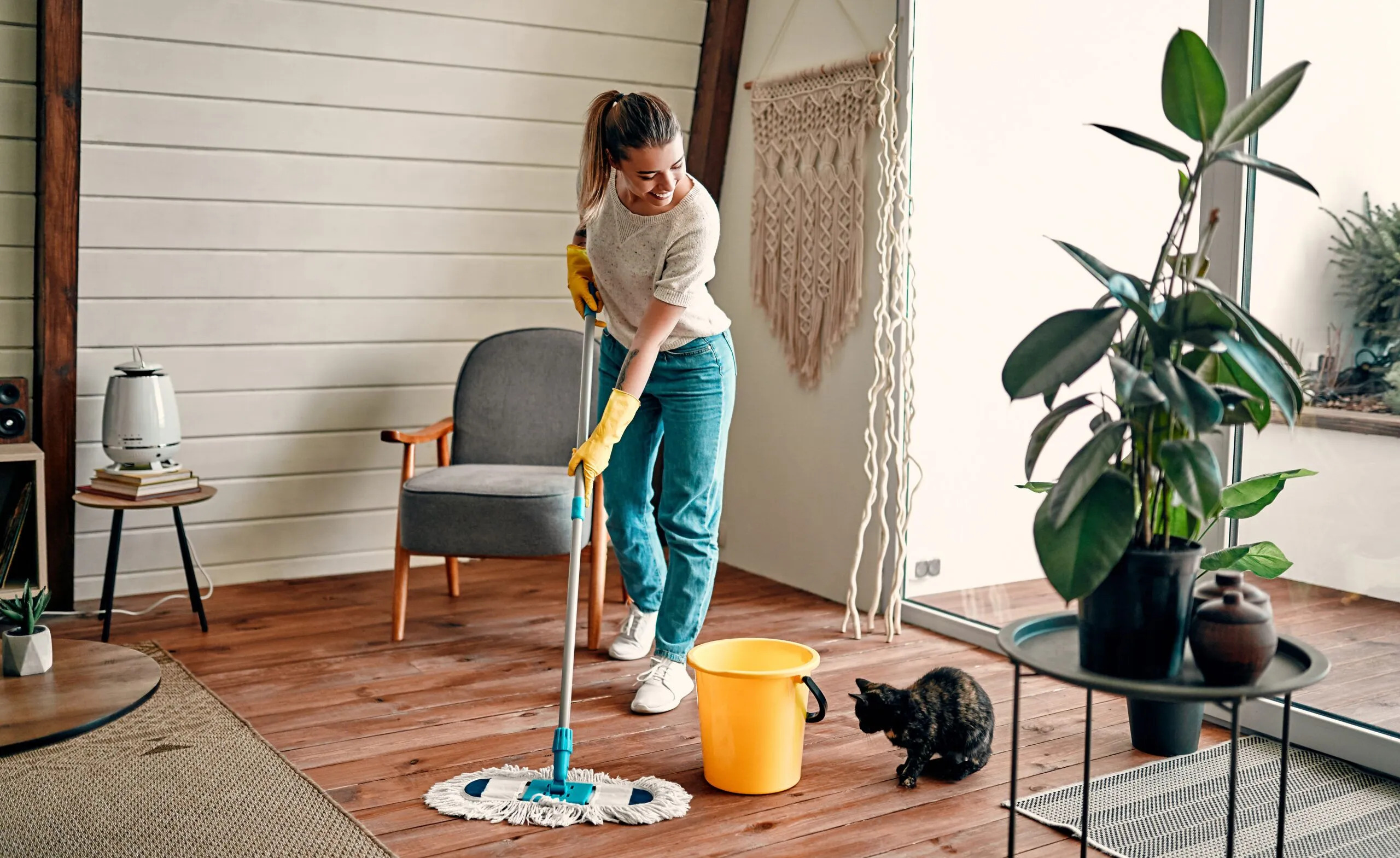 Deep cleaning checklist: a comprehensive guide to a spotless home image